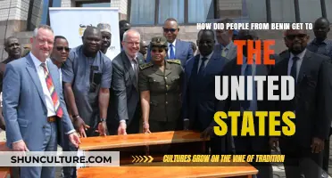 Tracing the Journey: Migration from Benin to the United States
