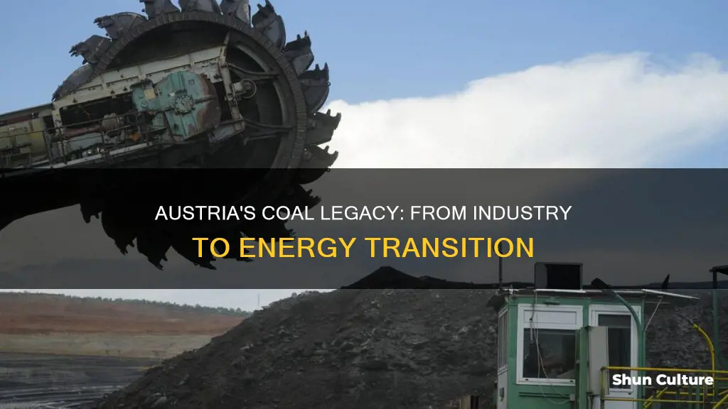 how did people use coal in austria