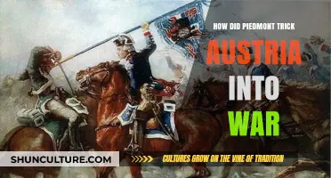 Piedmont's Strategic Maneuvers: Austria's Unwitting War Catalyst