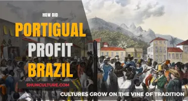 Portugal's Profitable Legacy: Exploiting Brazil's Resources for Colonial Wealth