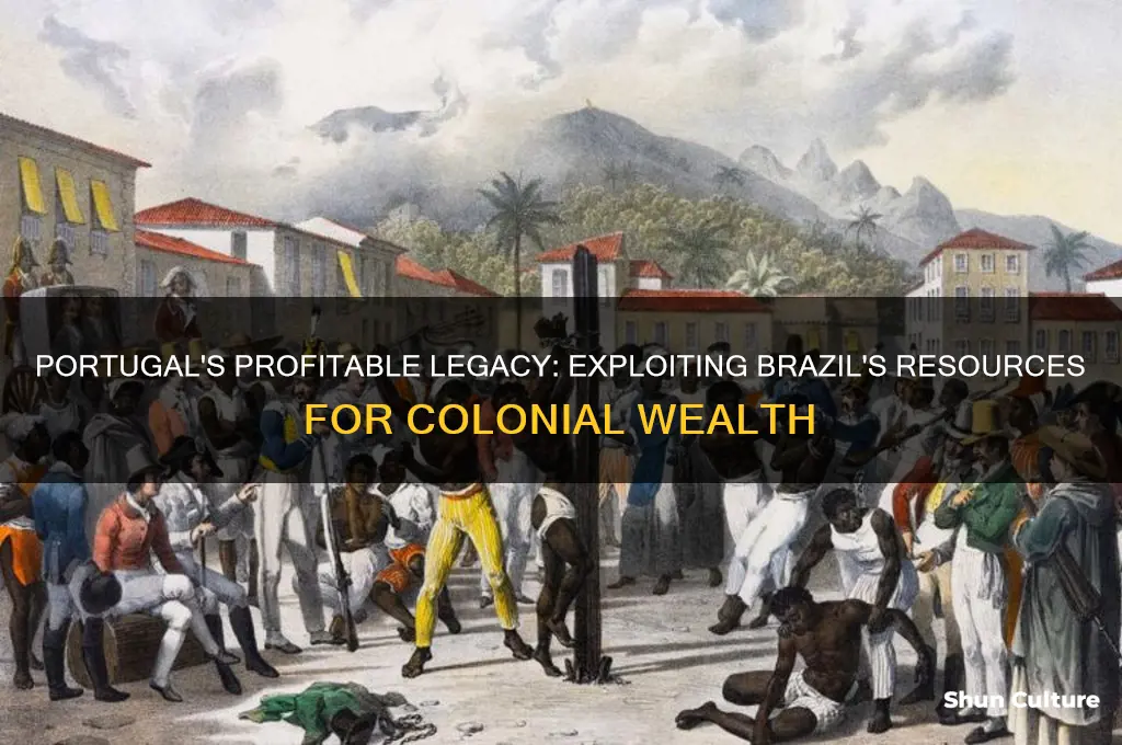 how did portigual profit brazil