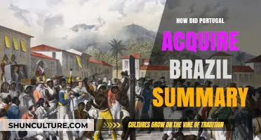Portugal's Conquest of Brazil: A Concise Historical Overview