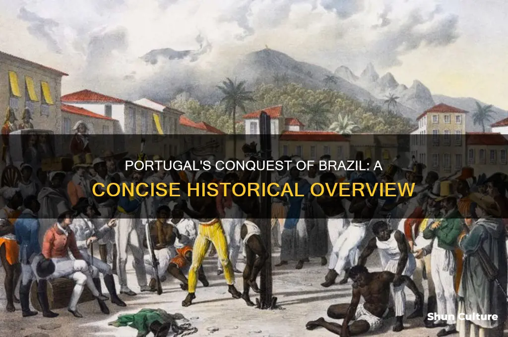 how did portugal acquire brazil summary