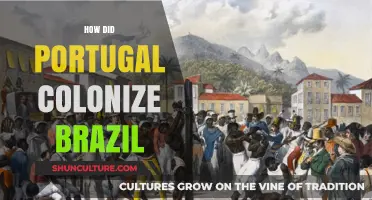 Portugal's Conquest: The Colonization of Brazil and Its Legacy