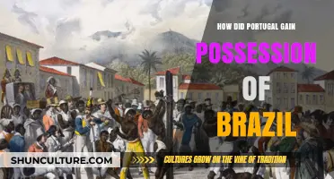 Portugal's Conquest: How Brazil Became a Colonial Possession
