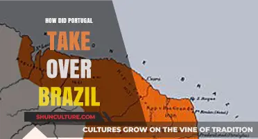 Portugal's Conquest of Brazil: A Historical Overview of Colonial Dominance