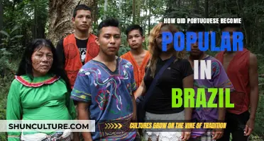 The Rise of Portuguese: Brazil's Language Evolution and Cultural Fusion