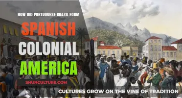 Portuguese Brazil's Influence on Shaping Spanish Colonial America's History