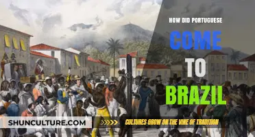 The Portuguese Conquest of Brazil: A Historical Journey to the New World