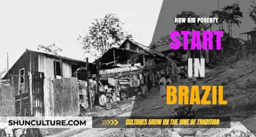 Roots of Poverty in Brazil: Historical Causes and Socioeconomic Factors