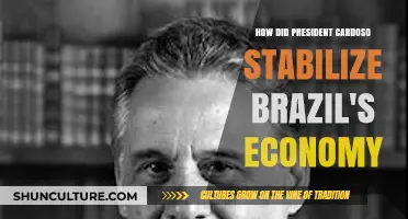 President Cardoso's Economic Reforms: Stabilizing Brazil's Economy
