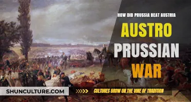 Prussia's Strategic Victory: The Austro-Prussian War's Turning Point