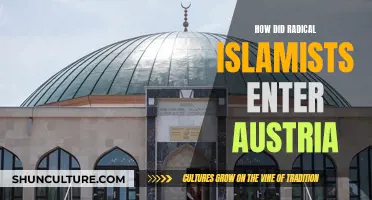 The Rise of Radical Islamism in Austria