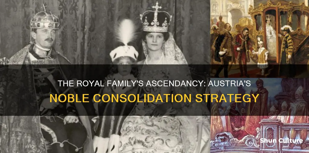 how did royal family of austria consolidate power over nobility