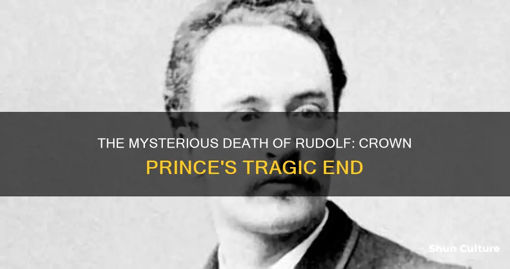 how did rudolf crown prince of austria died