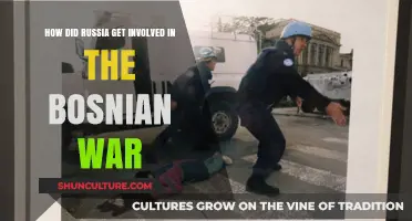 Russia's Role in the Bosnian War: Historical Context and Involvement