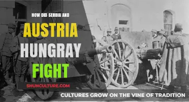 The Great War: Serbia, Austria-Hungary's Conflict