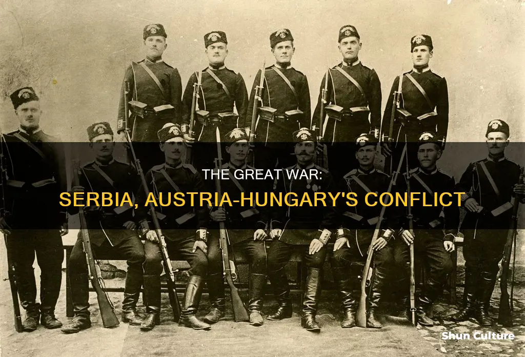 how did serbia and austria hungray fight