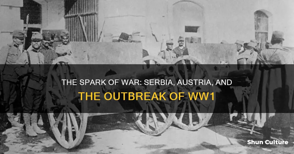 how did serbia and austria start ww1