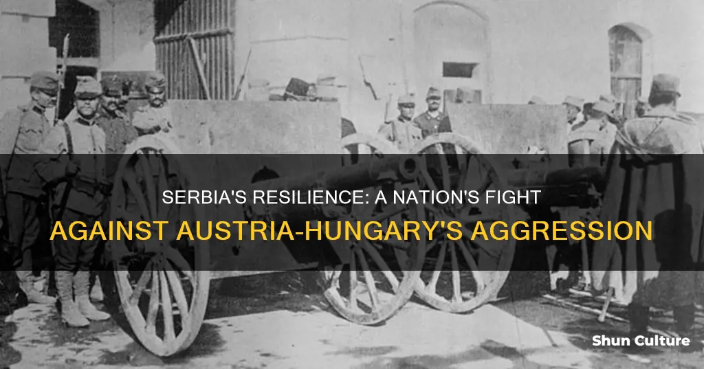 how did serbia defend itself against austria-hungary