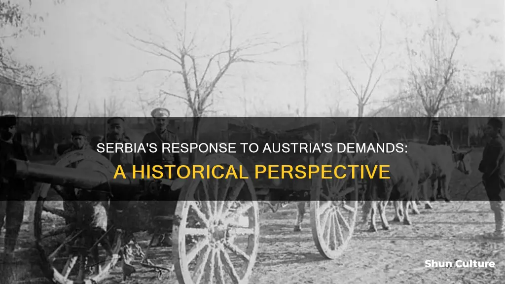 how did serbia react to austrian demands