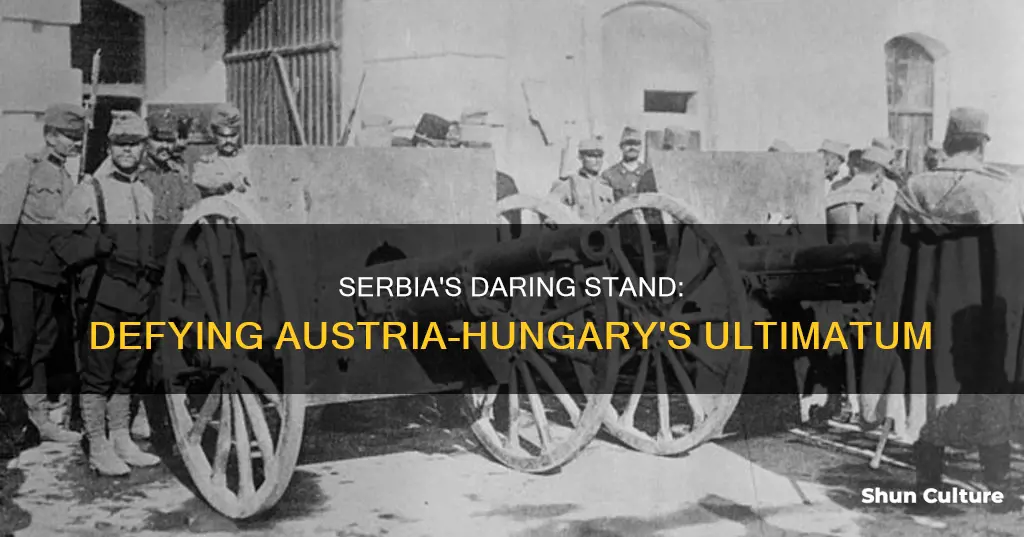 how did serbia respond to austria hungary ultimatum