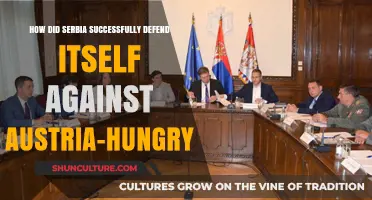 Serbia's Resilience: A Story of Military Strategy and National Unity