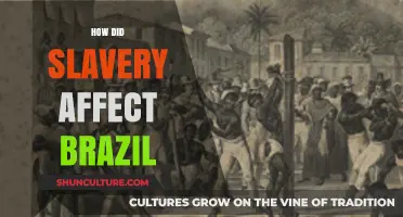 Slavery's Legacy: Shaping Brazil's History, Culture, and Socioeconomic Landscape