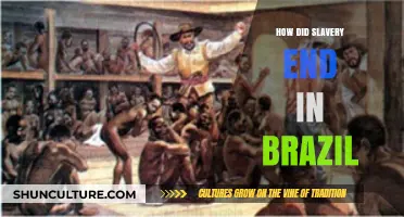The Long Road to Freedom: Brazil's Abolition of Slavery