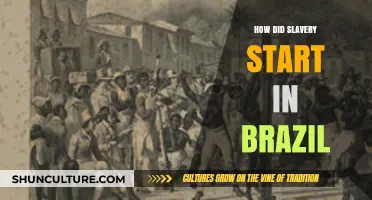 Origins of Slavery in Brazil: A Historical Journey to the Past