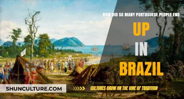 Portuguese Roots in Brazil: A Historical Journey of Migration and Colonization