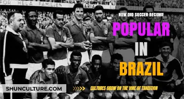 The Rise of Soccer in Brazil: A Cultural Phenomenon Explained