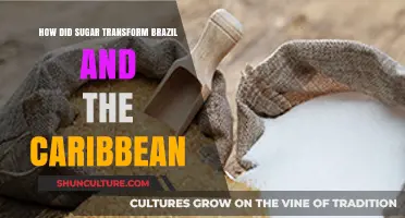 Sugar's Sweet Revolution: Transforming Brazil and the Caribbean Economies