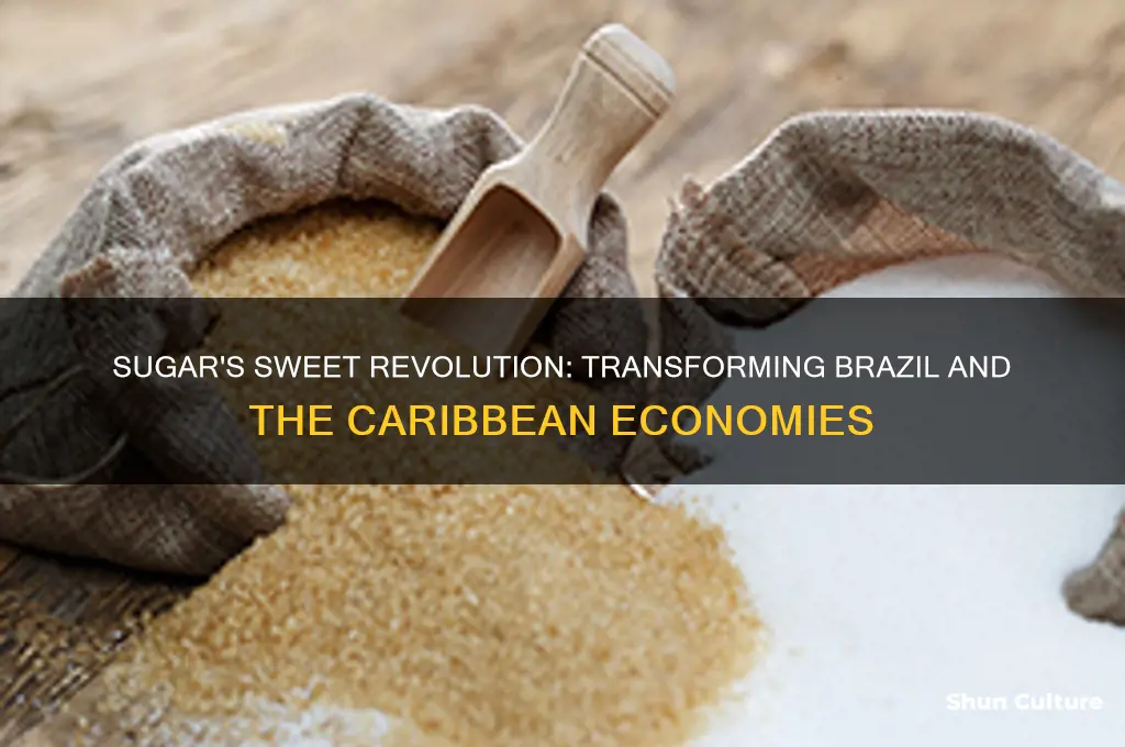 how did sugar transform brazil and the caribbean