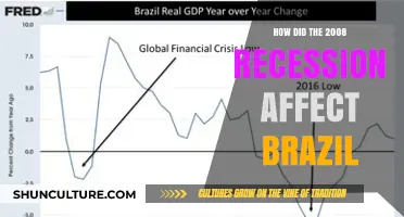 Brazil's Resilience: Navigating the 2008 Global Recession's Economic Impact