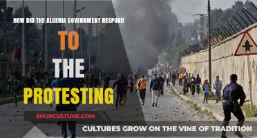 Algeria's Government Response to Protests: Strategies and Public Reaction