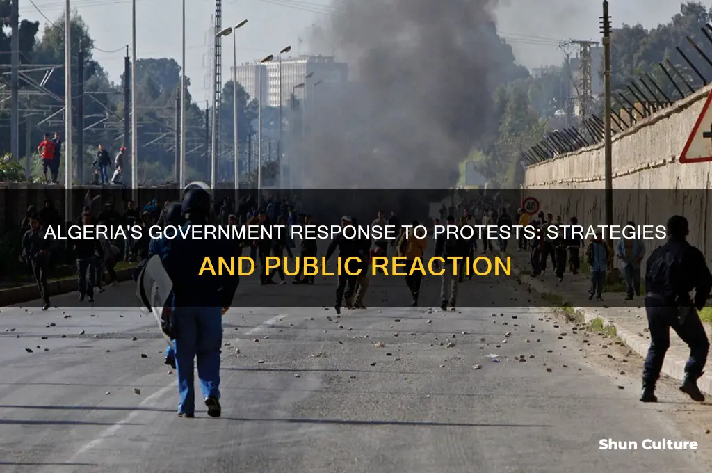 how did the algeria government respond to the protesting