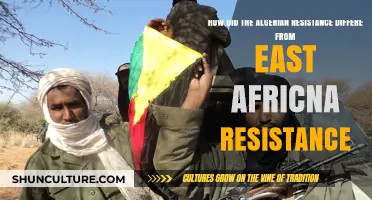 Algerian vs. East African Resistance: Unique Strategies and Outcomes Compared