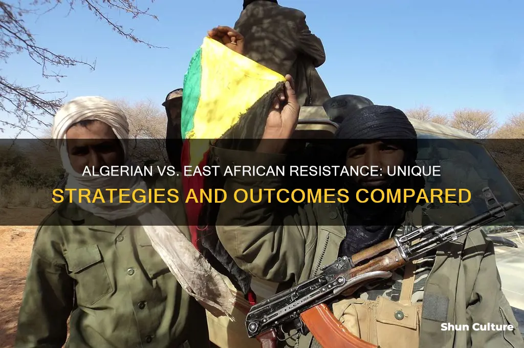 how did the algerian resistance differe from east africna resistance
