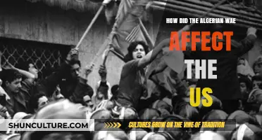 Algerian War's Impact on US Foreign Policy and Interests