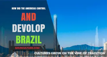 How the Americas Shaped Brazil's Development and Control