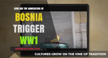 Bosnia's Annexation: The Spark Igniting World War I's Flames