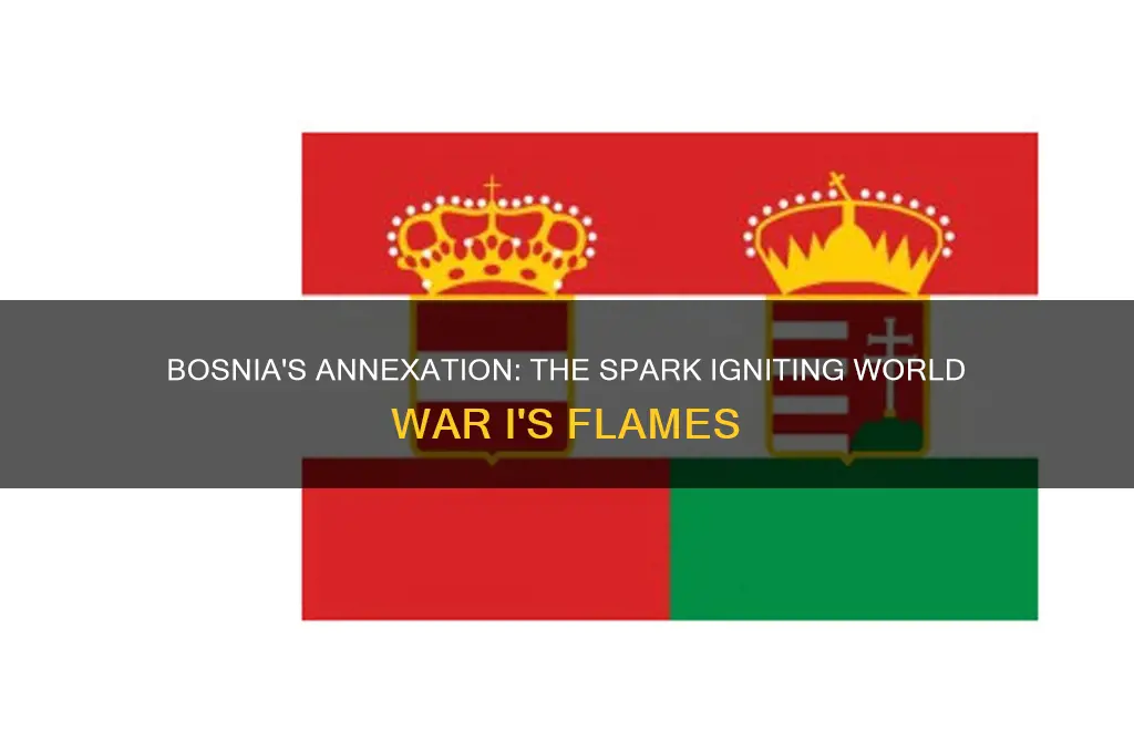 how did the annexation of bosnia trigger ww1