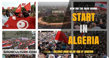 Algeria's Arab Spring: The Spark of Revolution and Its Origins
