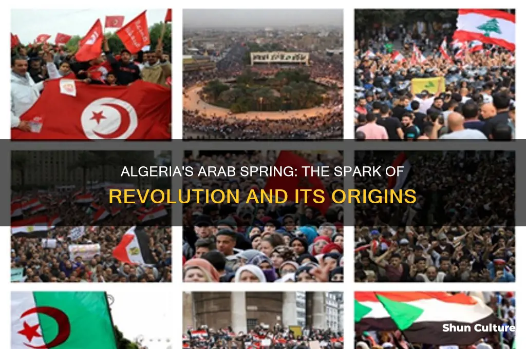 how did the arab spring start in algeria