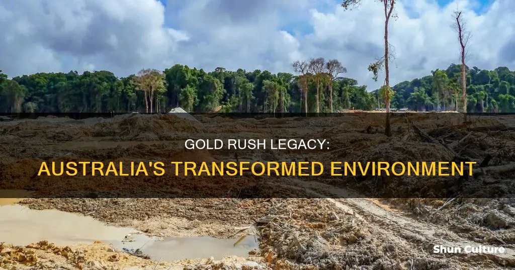 how did the australian gold rush changed the environment