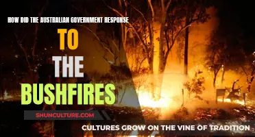 Australian Bushfires: Government Response and Action
