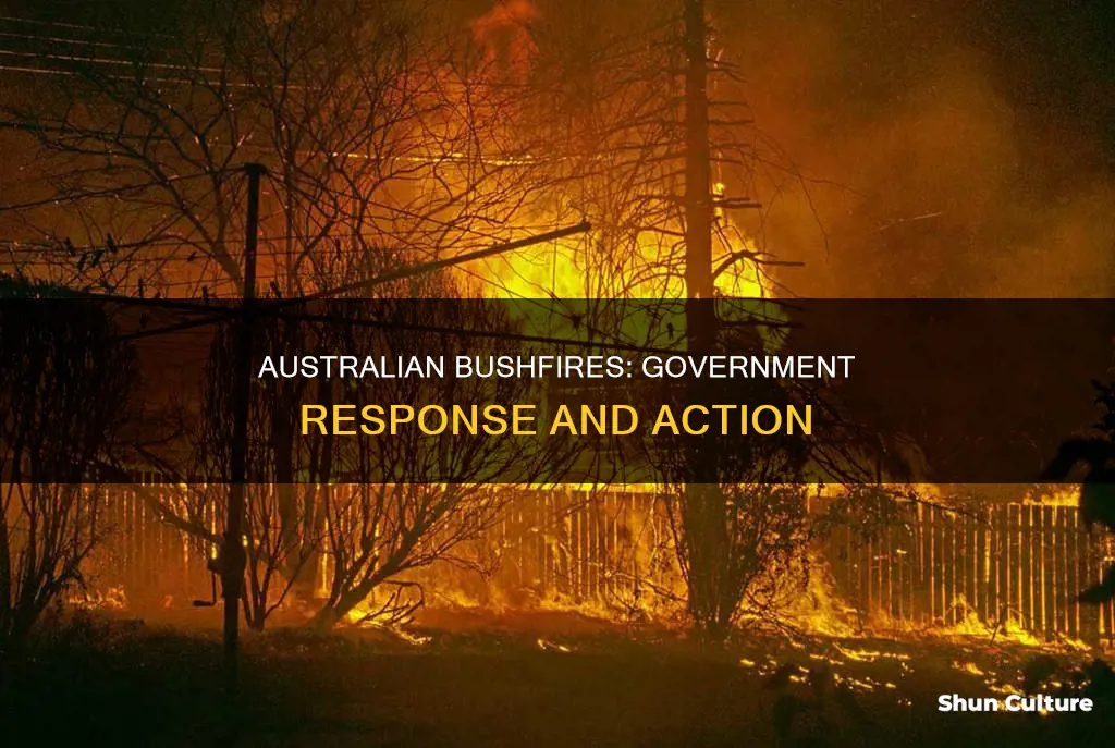 how did the australian government response to the bushfires