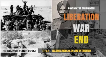 The Triumph of Bangladesh: How the Liberation War Concluded in 1971