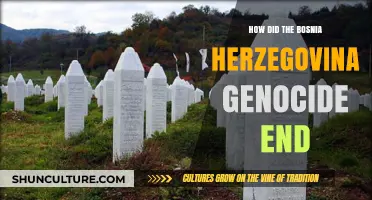 The End of Bosnia's Genocide: Peace, Justice, and International Intervention